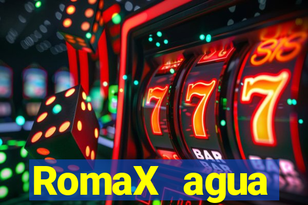 RomaX agua sanitaria fispq agua sanitaria romax